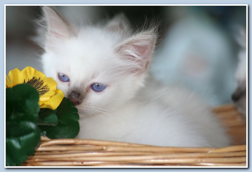 Immagine 028